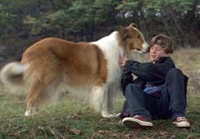 Lassie still 1