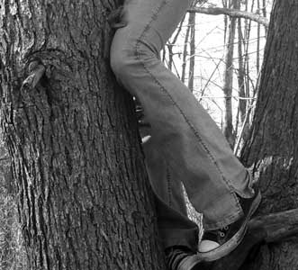 My Life In Chucks photo 11