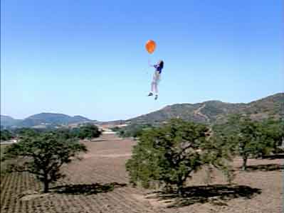 Balloon Farm still 10