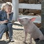 Celebrities Wearing Black Chucks in Films  Dakota Fanning in Charlotte's Web.