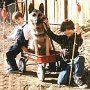 Celebrities Wearing Black Chucks in Films  Joseph Mazzello and Elijah Wood in Radio Flyer.