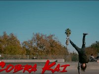 Cobra Kai  Robby Keene (Tanner Buchanan) practicing balancing on one hand