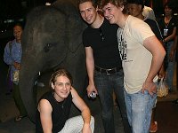 Hanson  The band in front of an elephant.