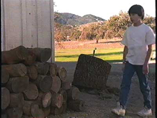 Max Pomeranc in Journey