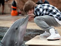 Justin Bieber  Justin Bieber talking to a dolphin wearing optical white high top chucks.