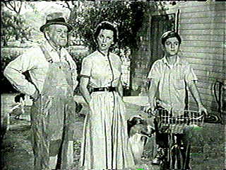Lassie still 1