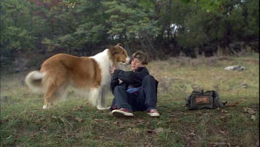 LASSIE MOVIE DVD EXCELLENT CONDITION DRAMA FAMILY ADVENTURE 1994