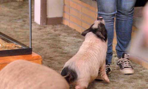 Parks and Recreation still 4