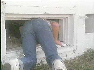 Porky’s still 2