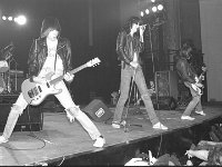 The Ramones  The Ramones in performance.