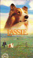Lassie cover