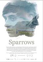 Sparrows cover